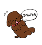 トイプーまとめ（個別スタンプ：7）
