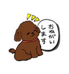 トイプーまとめ（個別スタンプ：8）