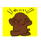 トイプーまとめ（個別スタンプ：12）