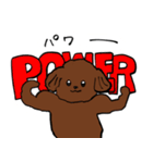 トイプーまとめ（個別スタンプ：14）