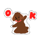 トイプーまとめ（個別スタンプ：17）