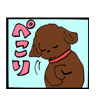 トイプーまとめ（個別スタンプ：21）