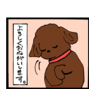 トイプーまとめ（個別スタンプ：23）