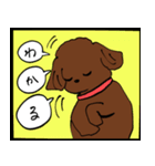 トイプーまとめ（個別スタンプ：24）