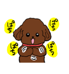 トイプーまとめ（個別スタンプ：29）