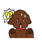 トイプーまとめ（個別スタンプ：31）