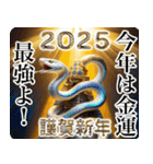 ■オネエことばで謹賀新年2025巳年フー！（個別スタンプ：15）