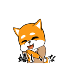 柴犬が来た！（個別スタンプ：3）