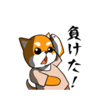 柴犬が来た！（個別スタンプ：9）