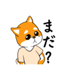 柴犬が来た！（個別スタンプ：18）