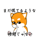 柴犬が来た！（個別スタンプ：22）