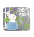 ウサギ家族 10 - 癒し系日常会話（個別スタンプ：18）