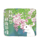 ウサギ家族 10 - 癒し系日常会話（個別スタンプ：26）