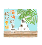 ウサギ家族 10 - 癒し系日常会話（個別スタンプ：33）