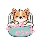 コーギーの生活 (タイ)（個別スタンプ：2）