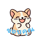 コーギーの生活 (タイ)（個別スタンプ：19）
