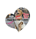モイちゃんHappy New Year to 2025！（個別スタンプ：1）