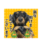 私の名前はこうめです2（個別スタンプ：1）