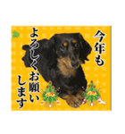 私の名前はこうめです2（個別スタンプ：2）