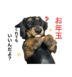 私の名前はこうめです2（個別スタンプ：4）