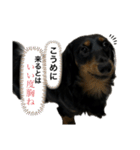 私の名前はこうめです2（個別スタンプ：6）