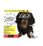 私の名前はこうめです2（個別スタンプ：9）