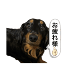 私の名前はこうめです2（個別スタンプ：12）