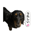 私の名前はこうめです2（個別スタンプ：18）