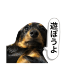 私の名前はこうめです2（個別スタンプ：19）