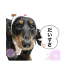 私の名前はこうめです2（個別スタンプ：20）