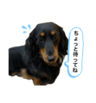 私の名前はこうめです2（個別スタンプ：21）