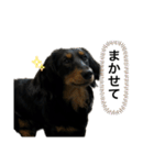 私の名前はこうめです2（個別スタンプ：23）