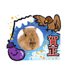 【カピバラ】かぴ天スタンプPart5（個別スタンプ：6）