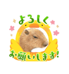 【カピバラ】かぴ天スタンプPart5（個別スタンプ：18）