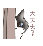 大きくてキュートな猫（個別スタンプ：11）