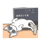 大きくてキュートな猫（個別スタンプ：22）