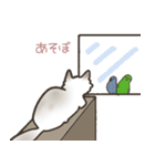 大きくてキュートな猫（個別スタンプ：33）