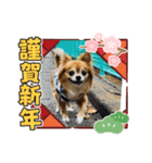 モンドの2025年年始ご挨拶（個別スタンプ：3）