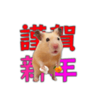 HamPacino（お正月ハムパチーノ2025）（個別スタンプ：4）