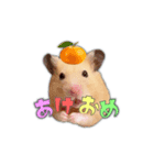 HamPacino（お正月ハムパチーノ2025）（個別スタンプ：5）