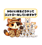 三毛猫レポーター「なんでかわいいの？」（個別スタンプ：3）