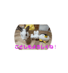 うさおやこ。（個別スタンプ：1）