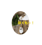 うさおやこ。（個別スタンプ：16）