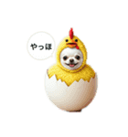白チワワさんの日常2（個別スタンプ：12）