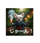 白チワワさんの日常2（個別スタンプ：13）