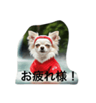 白チワワさんの日常2（個別スタンプ：14）