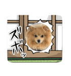 コロチ♥️（個別スタンプ：2）