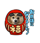 コロチ♥️（個別スタンプ：7）