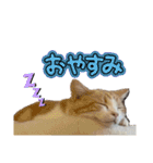 スコのピノちゃん（個別スタンプ：2）