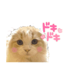 スコのピノちゃん（個別スタンプ：14）